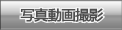 ʐ^Be